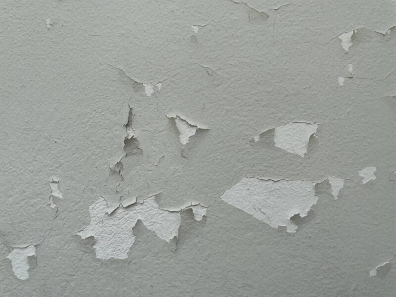 Quick Guide How to Fix Chipped Paint on Walls DeltaPro Painters