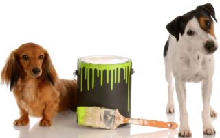 two dogs near a can of pet safe paint